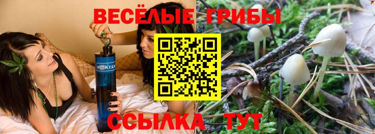 Галлюциногенные грибы GOLDEN TEACHER Волжский